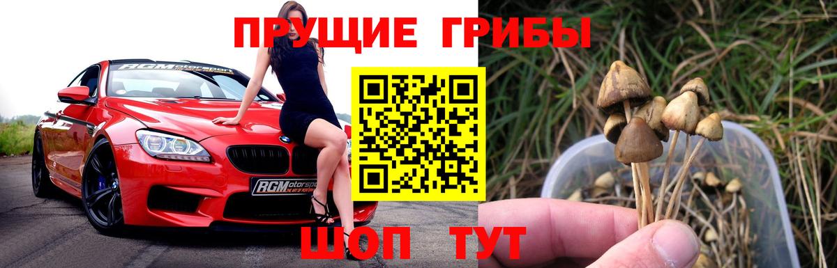 Псилоцибиновые грибы мухоморы  цена наркотик  Псилоцибиновые грибы Magic Shrooms  Морозовск  Вход с VPN 