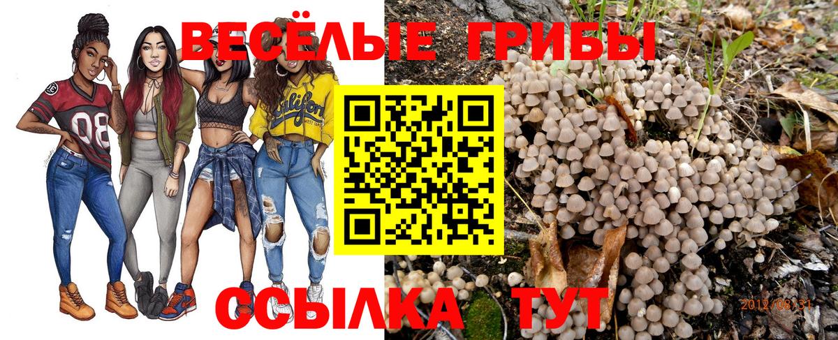 Псилоцибиновые грибы Magic Shrooms Морозовск